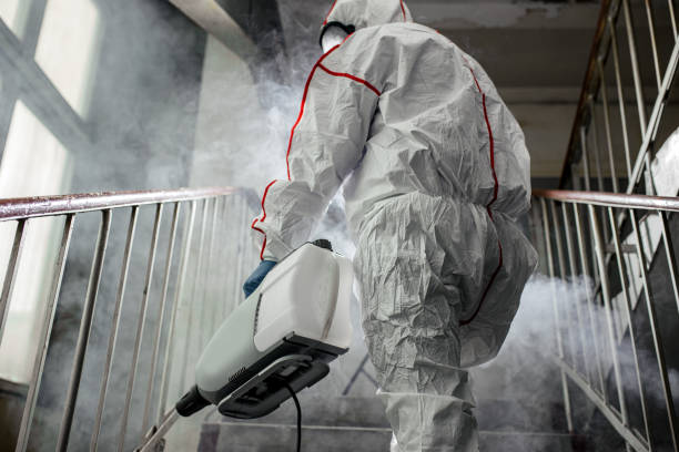 Mold Remediation for Vacation Homes in Henrietta, TX